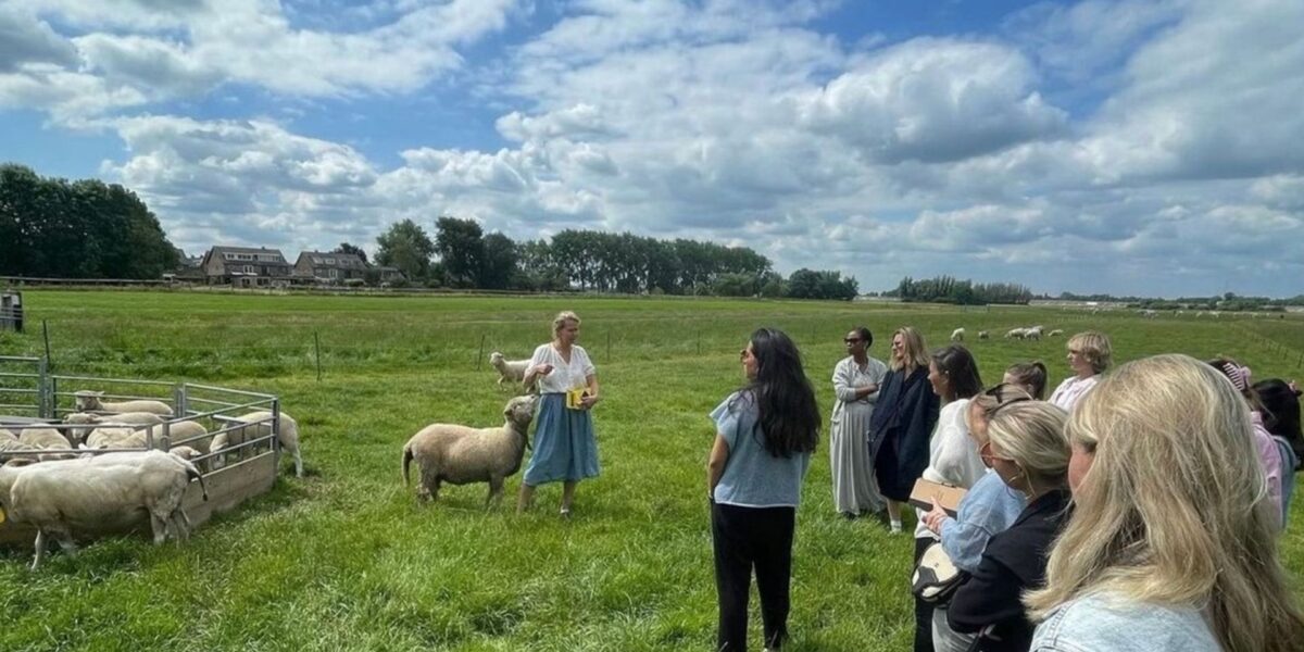 Europarlementariers bezoeken wolboerderij in baambrugge