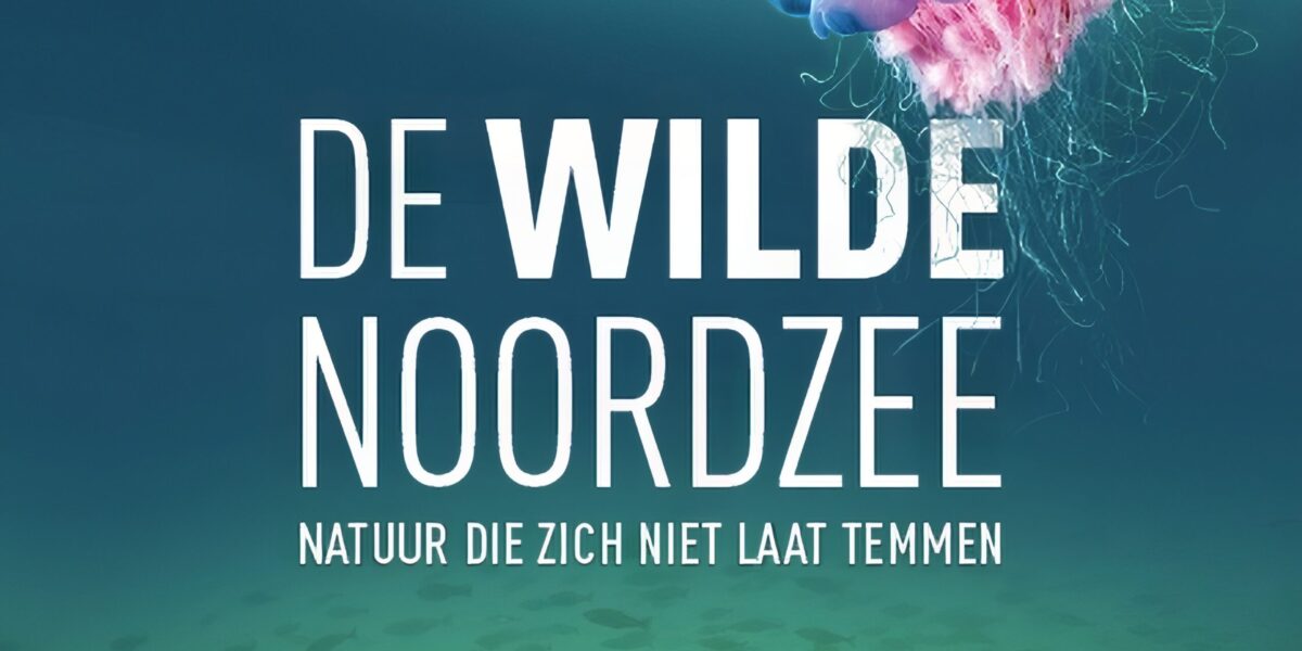 Primeur in Vinkeveen: ‘De Wilde Noordzee’ op groot scherm