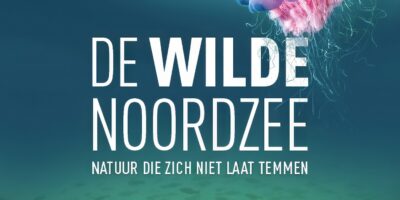 Primeur in Vinkeveen De Wilde Noordzee op groot scherm