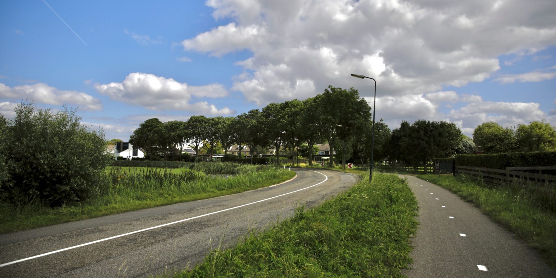 13 bomen op de A.C. Verhoefweg worden gekapt