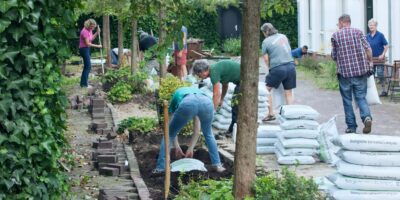 Kan jouw buurt wel wat meer groen gebruiken?