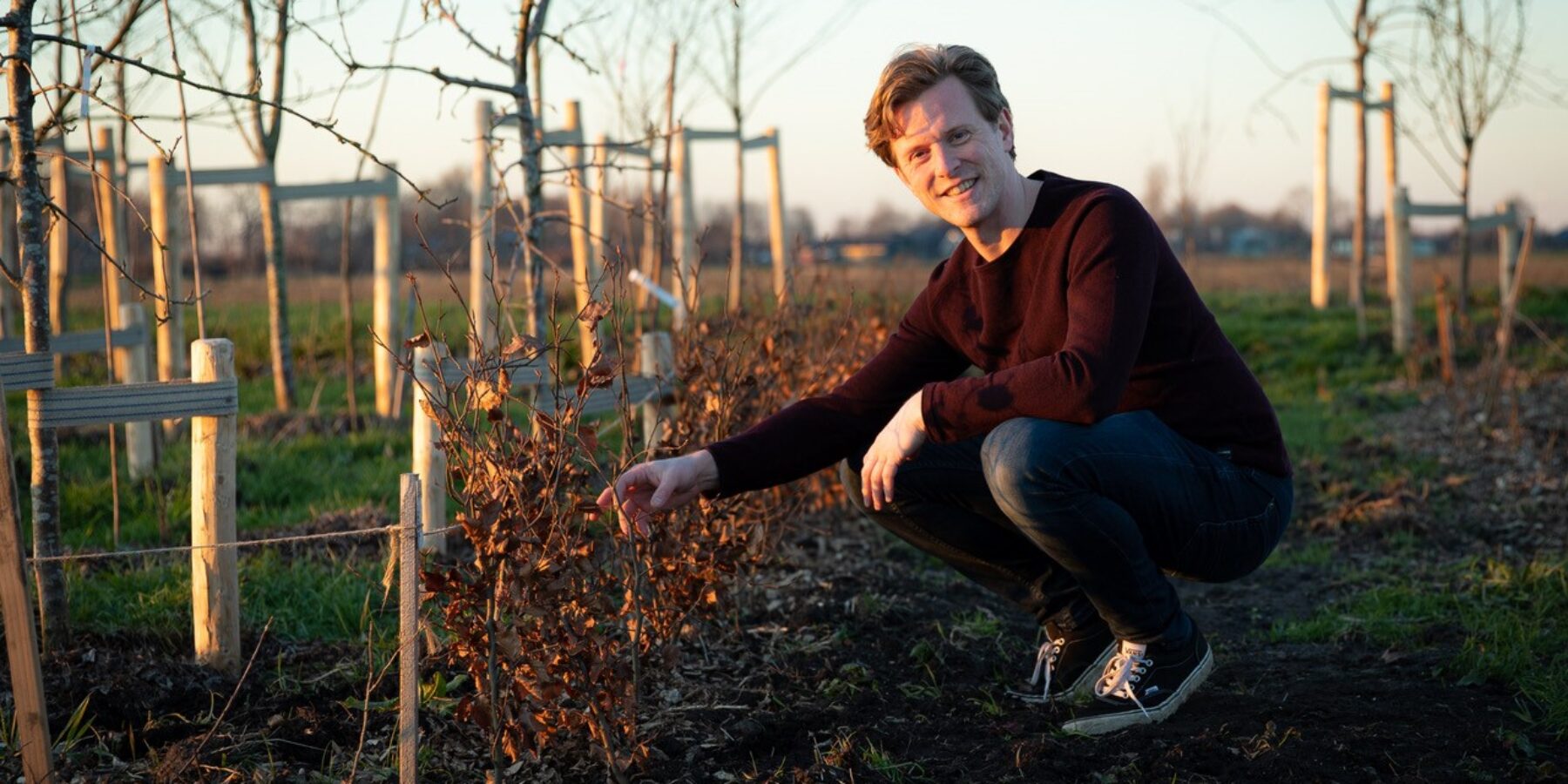 Leer alles over de bodem van je tuin