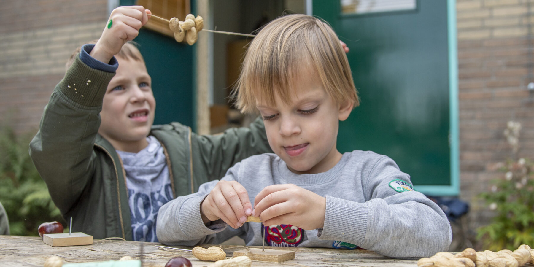 Maak je eigen vogelparadijs bij De Woudreus