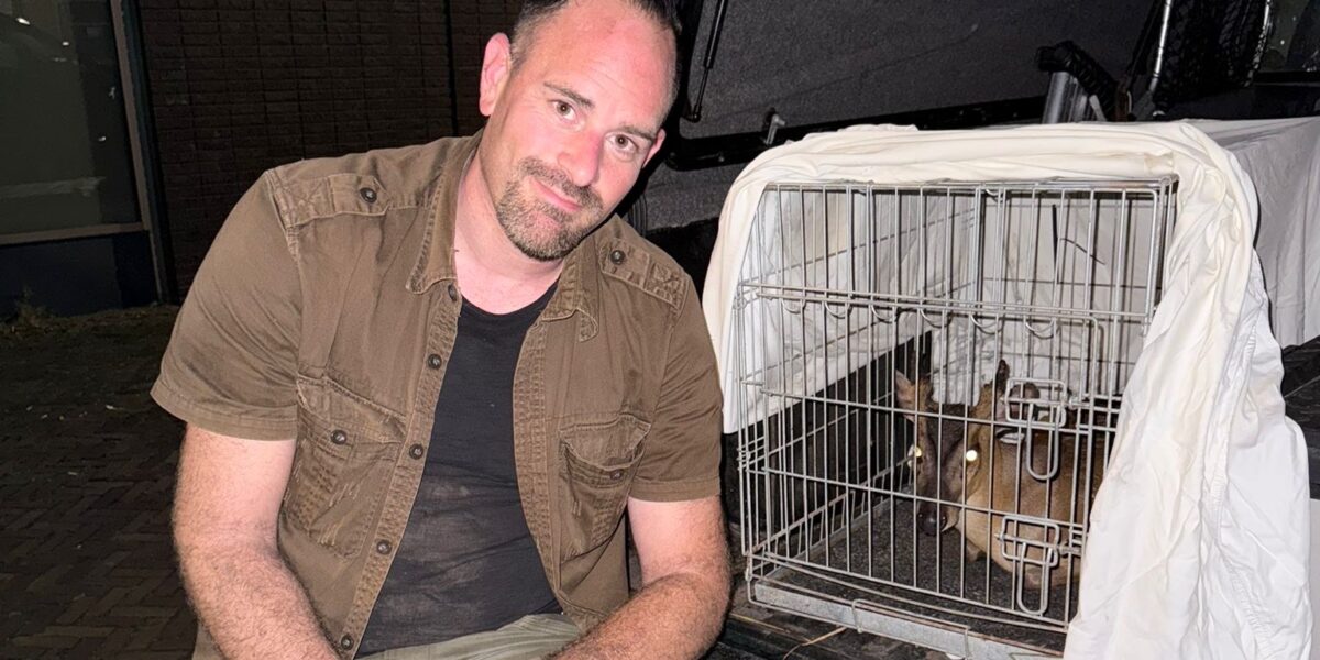 Opgevangen muntjak in Wilnis waarschijnlijk gedumpt of ontsnapt