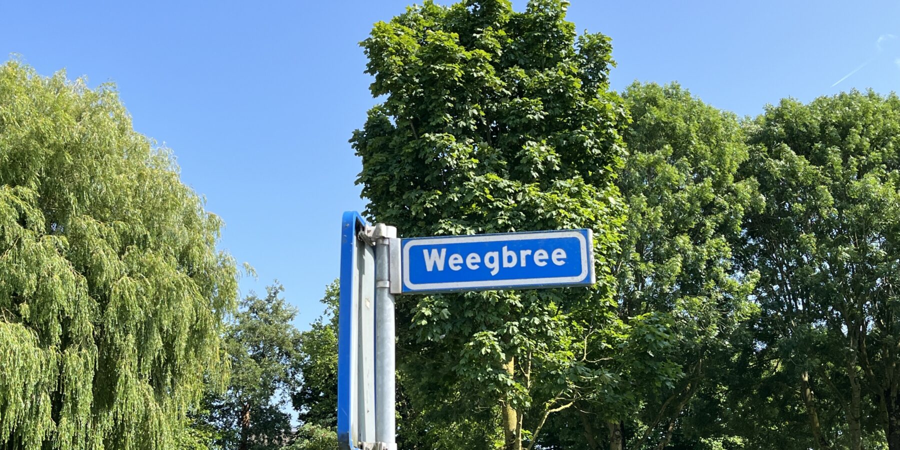 Explosie Weegbree