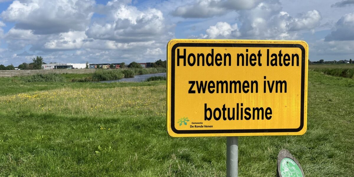 Dode eenden in sloot bij Wilnis: mogelijk botulisme