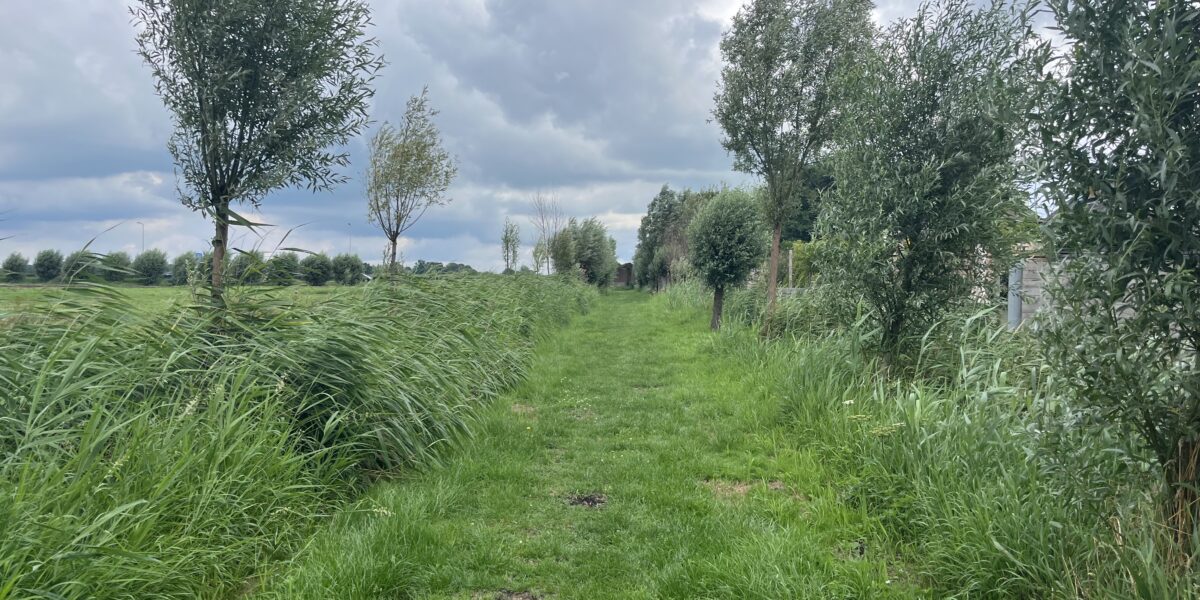 Provincie houdt vast aan snelle busroute langs N201 bij Vinkeveen