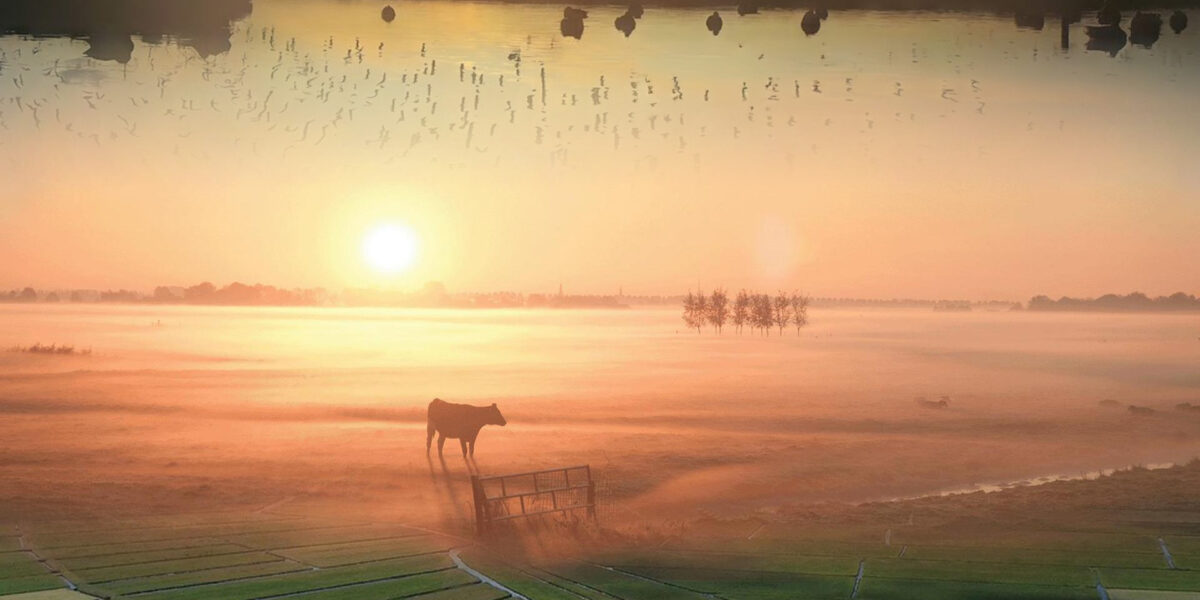 Filmhuis Mijdrecht: Hoop in de Hoep