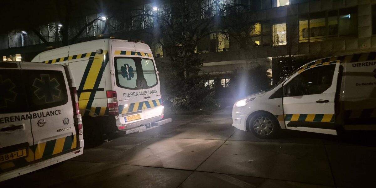 Dierenambulance Ronde Venen helpt na explosies en brand in Utrecht