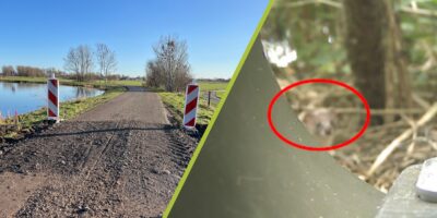 Wezel Ruigekade De Hoef