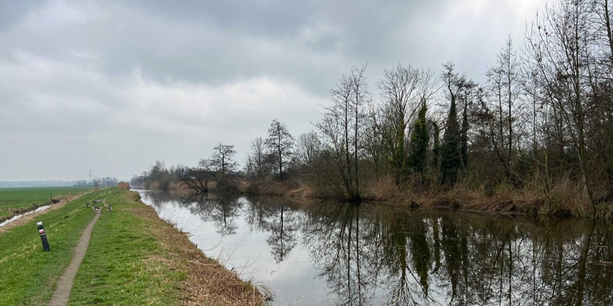 IVN organiseert winterwandeling door poldergebied bij Kockengen