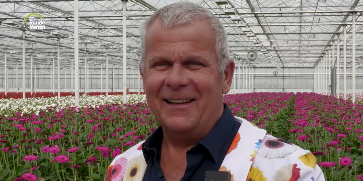 Aad van der Wilt plukt over zes weken zijn allerlaatste gerbera