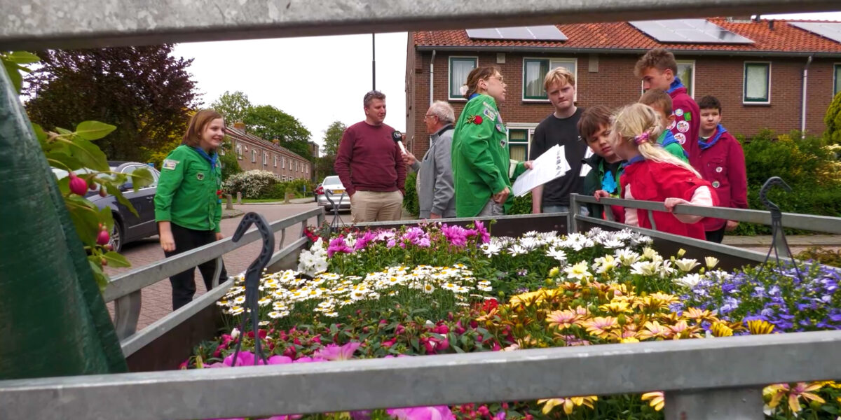 Mijdrechtse straten vol kleur door zestigjarige scouting