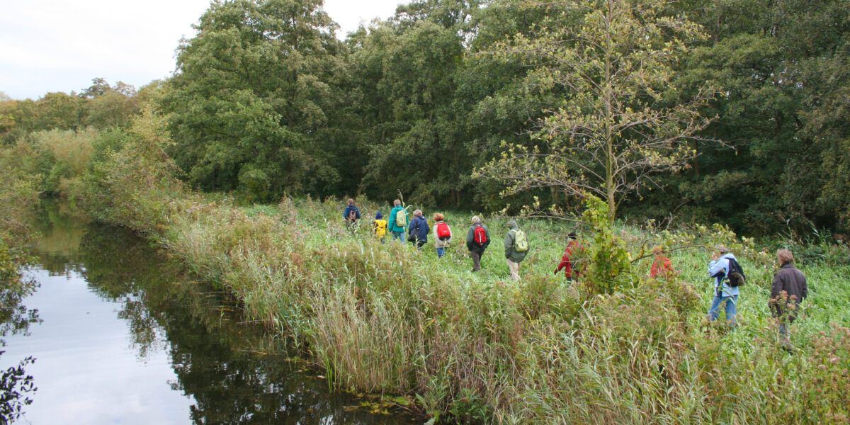 Wandelroute Botshol ruim een jaar dicht voor dijkherstel