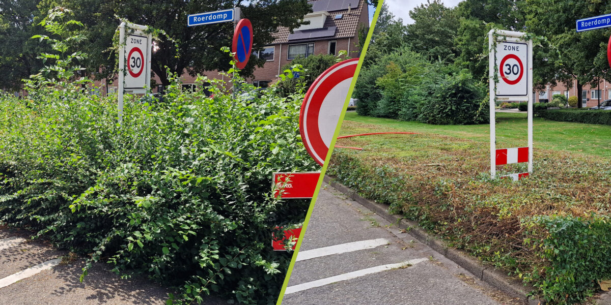 Snoeiachterstand ingelopen na storm aan klachten: 