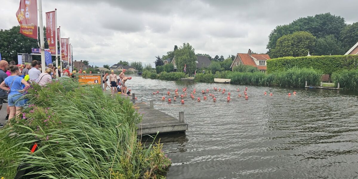 De Hoef Sportief schittert met honderd zwemmers en een leger aan vrijwilligers