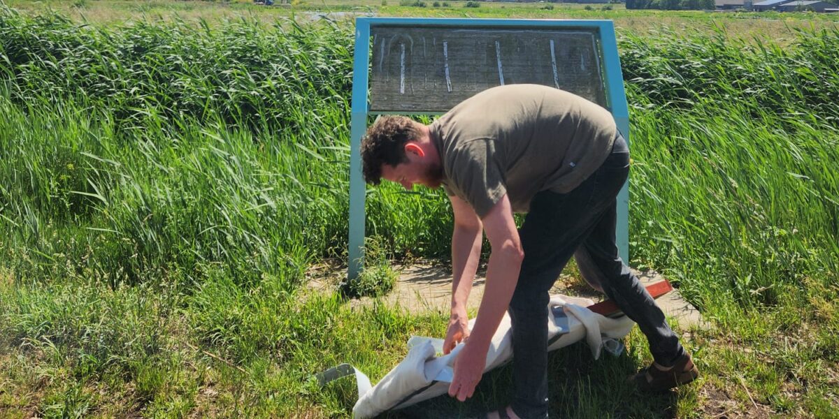 Geheimzinnig kunstwerk in Marickenland transformeert door wandelaars